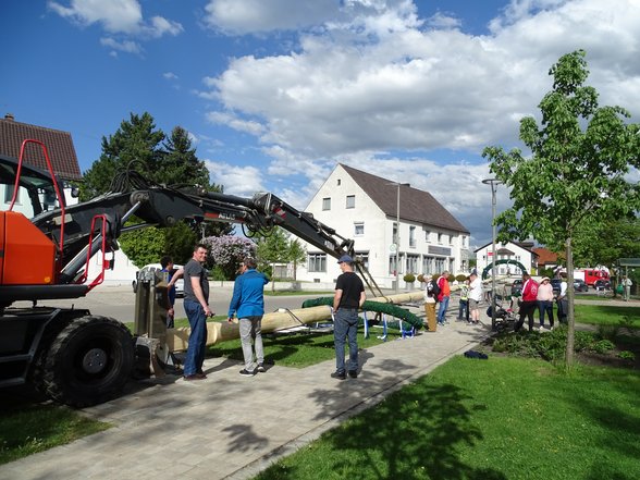 Maibaum liegend